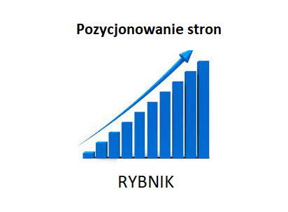 pozycjonowanie-stron-RYBNIK